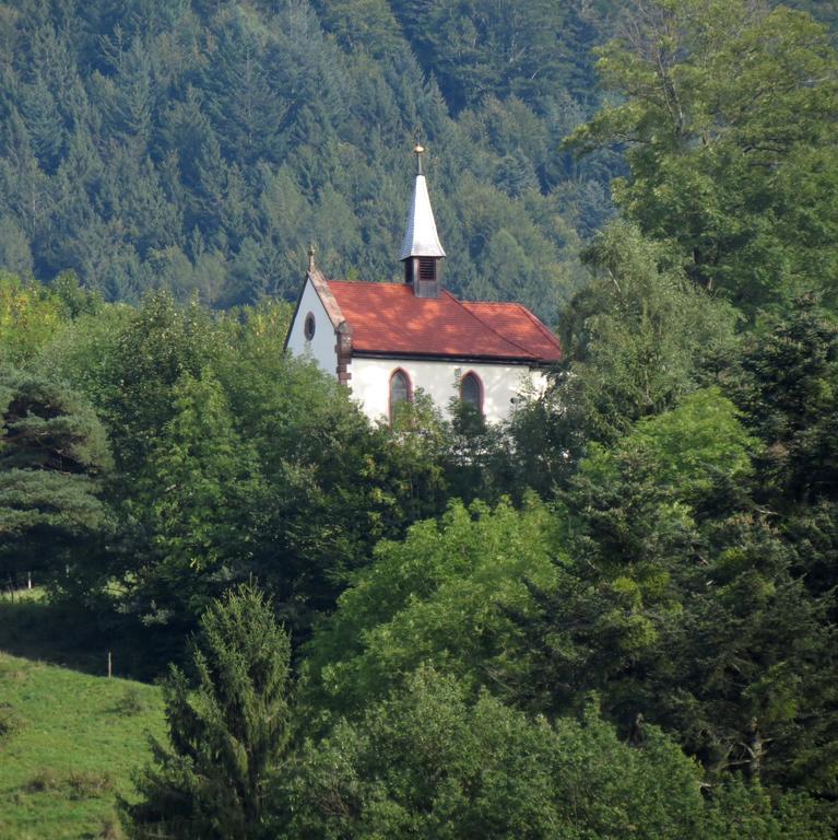 Ferienwohnung Dobelblick Buchenbach  Стая снимка